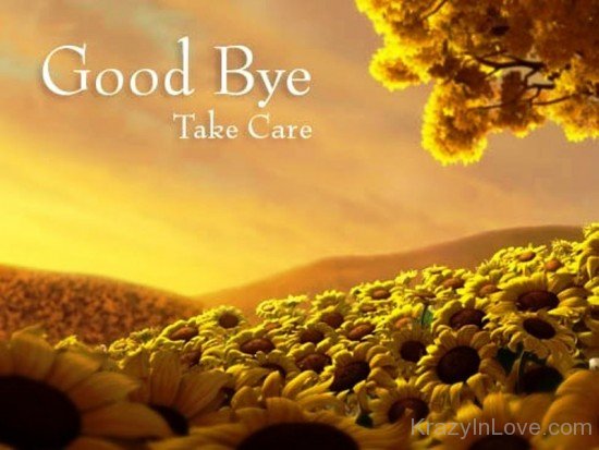 Good Bye Take Care-wxb606