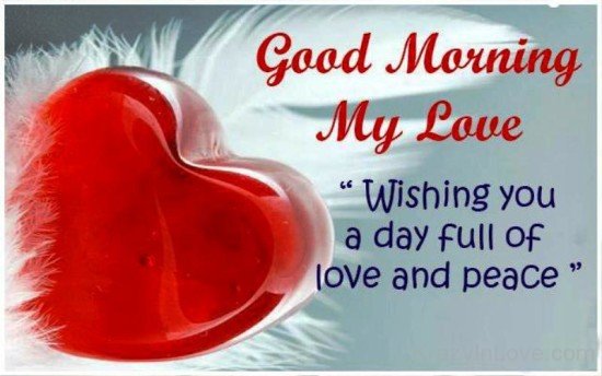 Good Morning My Love Wishing You A Day-rwq122