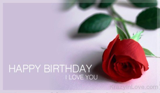 Happy Birthday I Love You With Rose-avb613