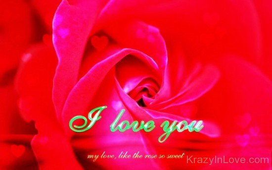 I Love You My Love,Like The Rose So Sweet-YTE313