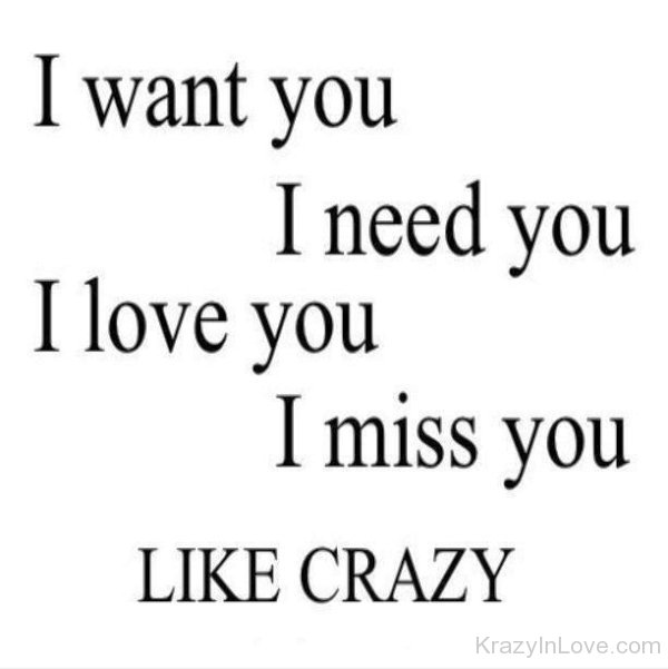 I Want You Need You Love You And Miss You