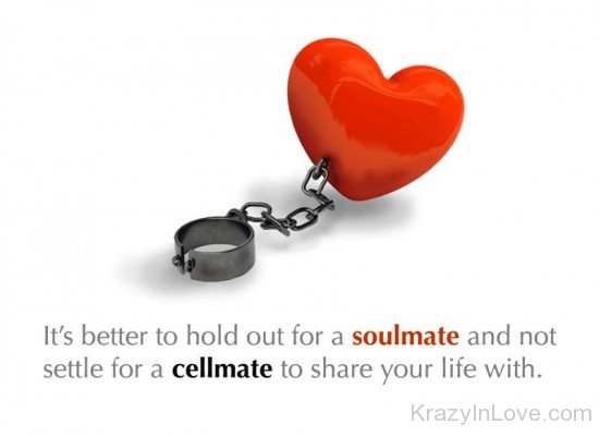 It's Better To Hold Out For A Soulmate-yni821
