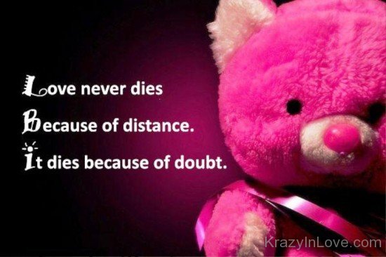 Love Never Dies Beacuse Of Distance-ytq216