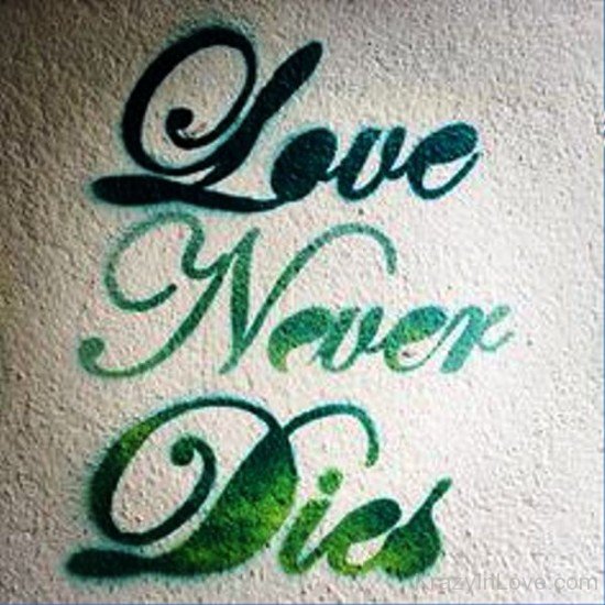 Love Never Dies-ytq221