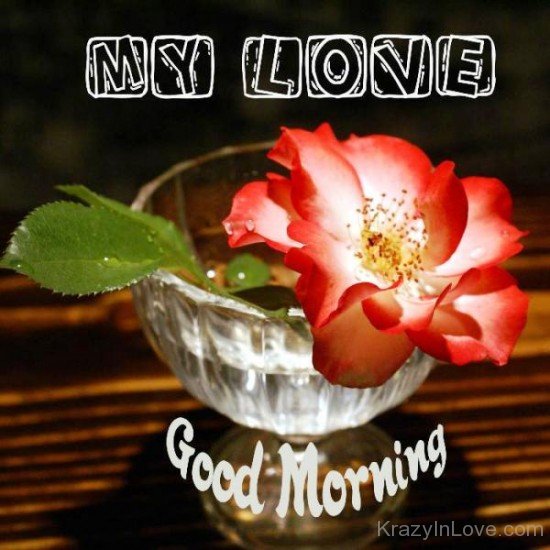 My Love Good Morning-YTE322