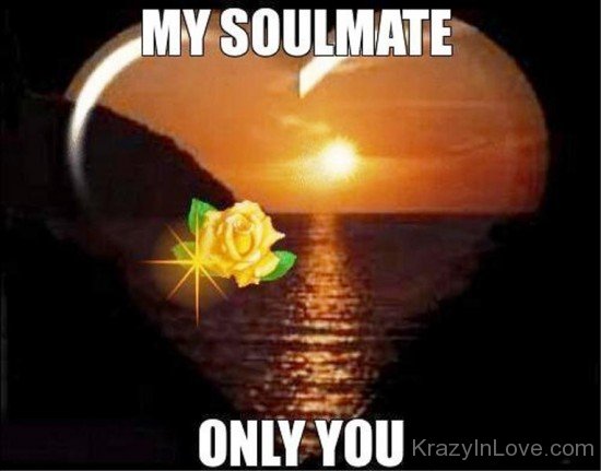 My Soulmate Only You-yni828