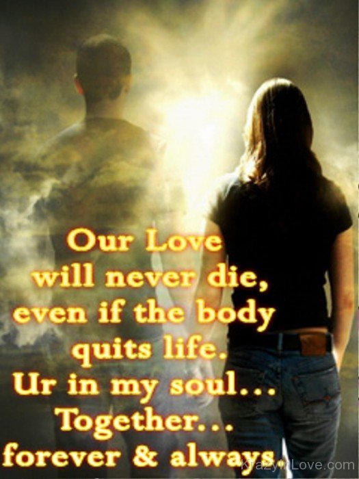 Our Love Will Never Die-ytq225