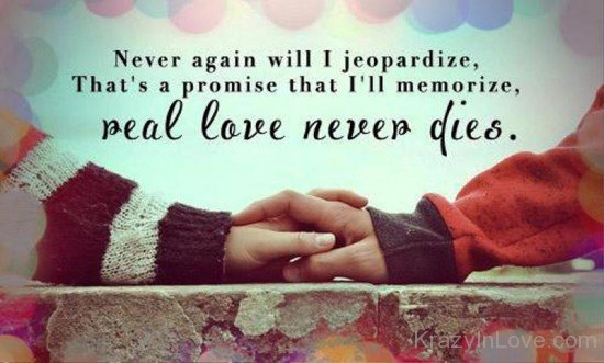 Real Love Never Dies-ytq226