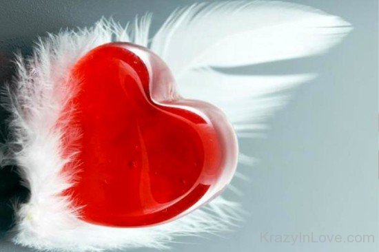 Red heart Of Love-tvw270