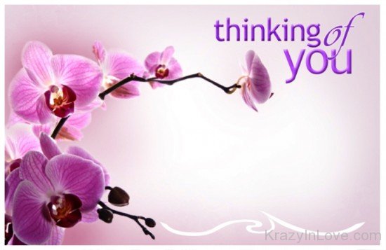 Thinking Of You Flowers Image-twq143