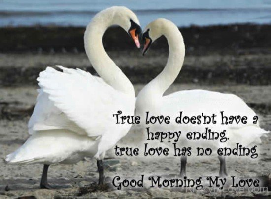 True Love Doesn't Have A Happy Ending-rwq141