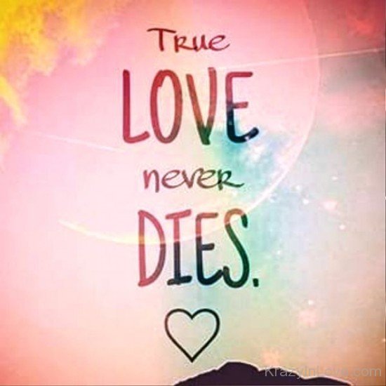 True Love Never Dies Photo-ytq236