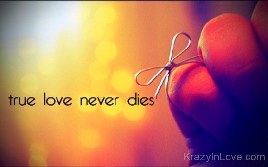 True Love Never Dies Pic-ytq237
