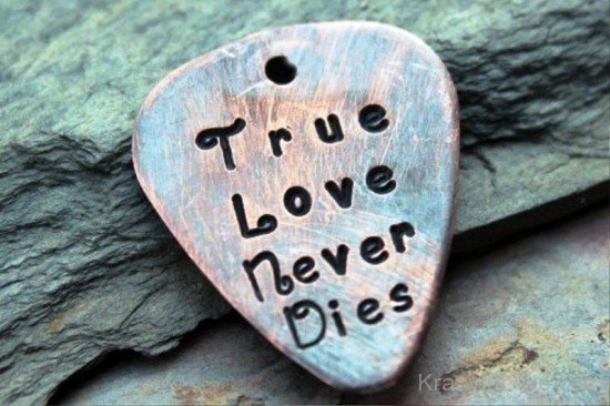 True Love Never Dies-ytq242
