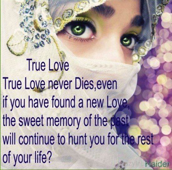 True Love Never Dies,Even If You Have-ytq241