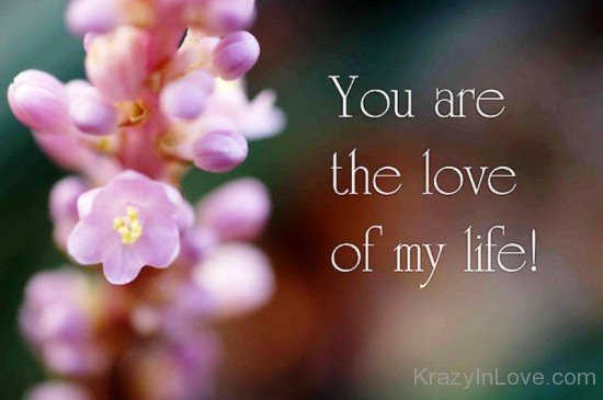 You Are The Love Of My Life-pyb624