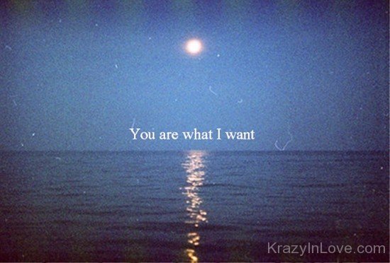 You Are What I Want-tmy7100