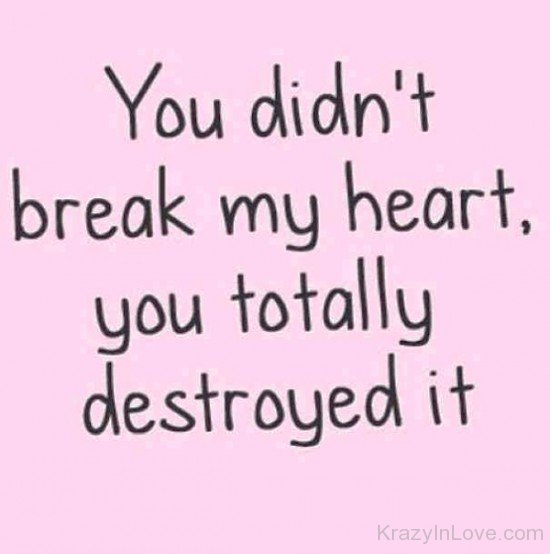 You Didn't Break My Heart-put647