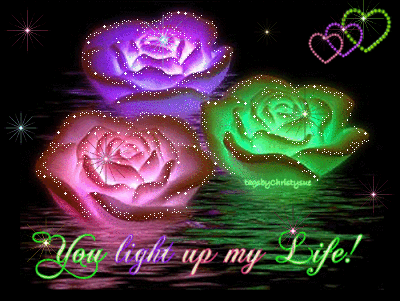 You Light Up My Life-yhj986