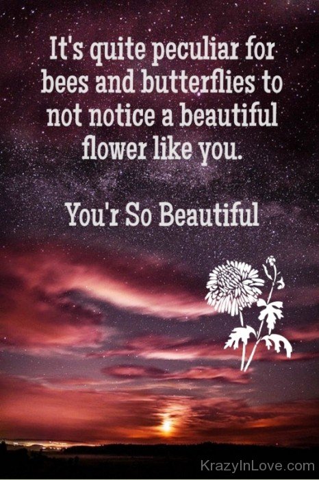 You're So Beautiful Image-ybe2111