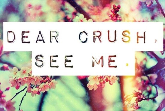 Dear Crush,See Me-wwe708