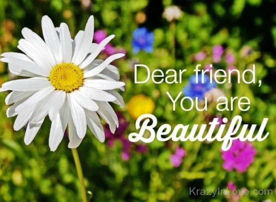 Dear Friend,You Are Beautiful-vff7811