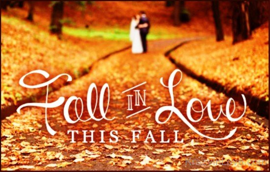Fall In Love This Fall-yhr8120