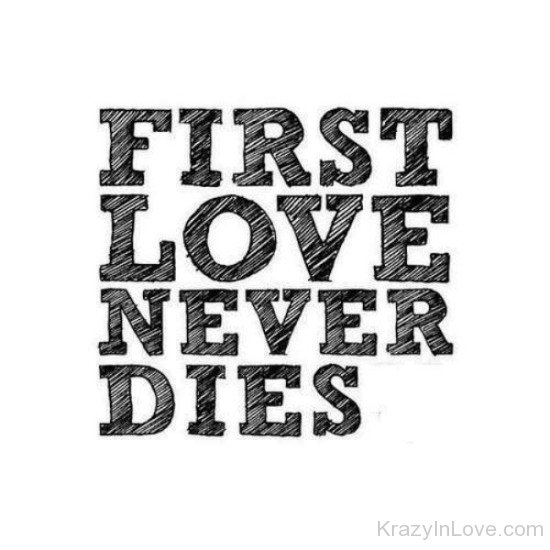 First Love Never Dies-gns3204