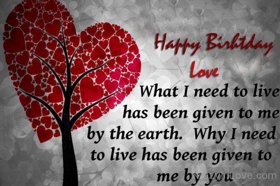 Happy Birthday Love-tgb67021