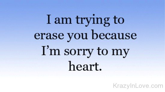 I Am Trying To Erase You-PPY8044