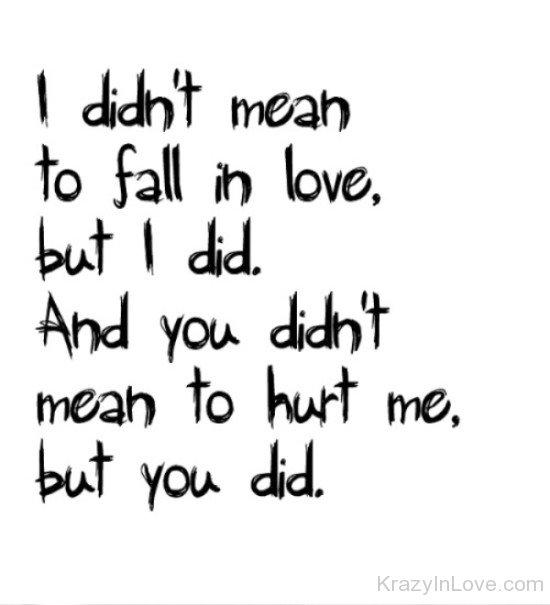 I Didn't Mean To Fall In Love-PPY8047