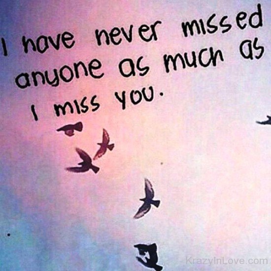 I Have Never Missed Anyone-fdd3213