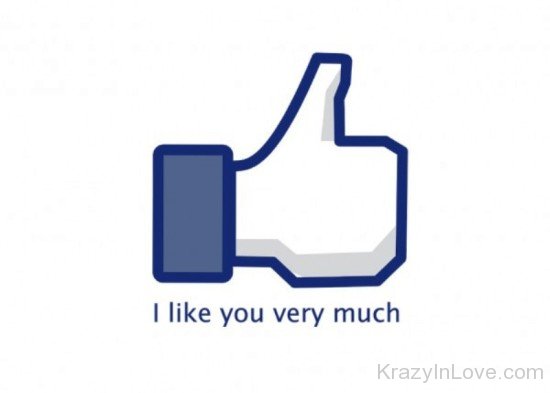 I Like You Very Much-rrt529