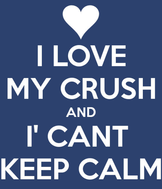 I Love My Crush And I Can't Keep Calm-wwe713