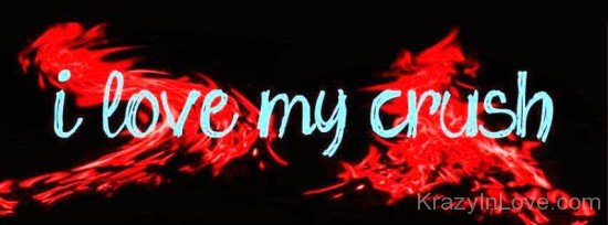 I Love My Crush-wwe714