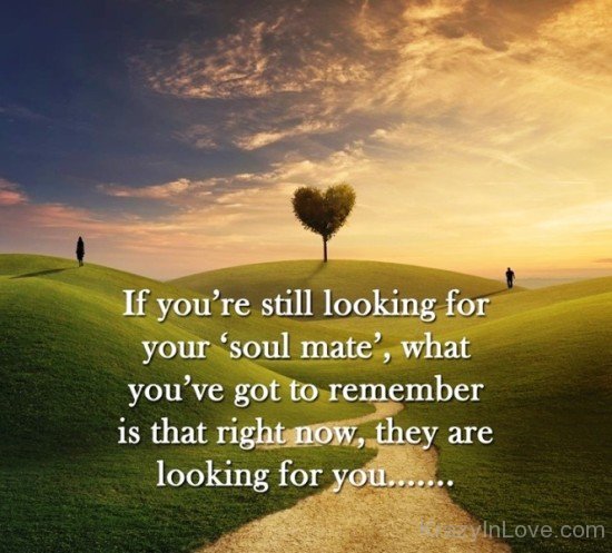If You're Still Looking For Your Soulmate-bnn8709