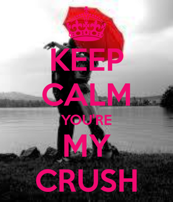 Keep Calm You're My Crush-wwe725