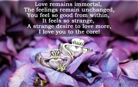 Love Remains Immortal-ddg5439