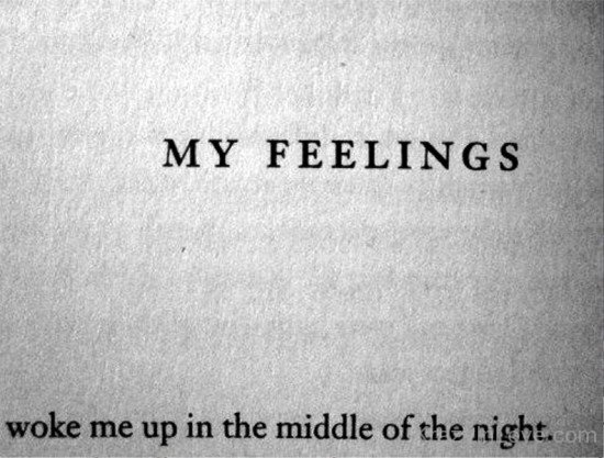 My Feelings Woke Me Up In The Middle Of The Night-ddg5442