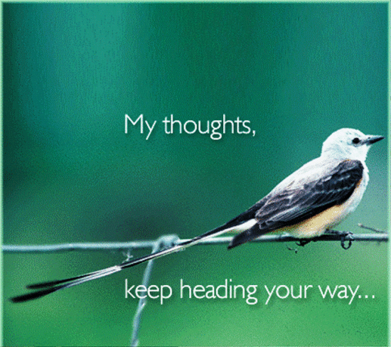 My Thoughts,Keep Heading Your Way-ggf4135