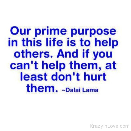 Our Prime Purpose In This Life-PPY8131