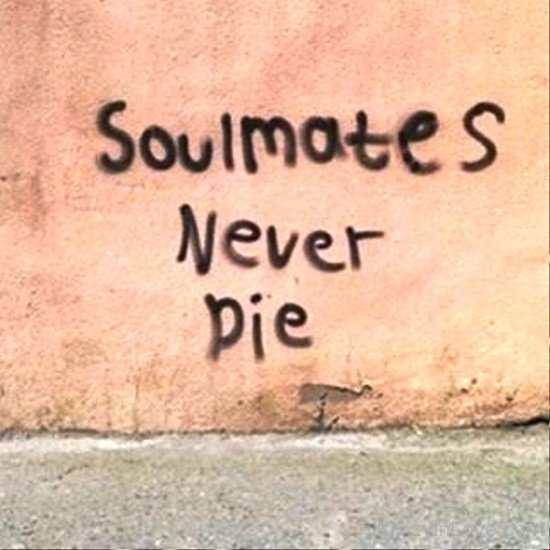 Soulmates Never Die-gns3216