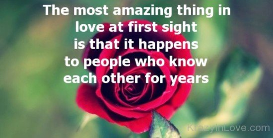 The Most Amazing Thing In Love-fgg335