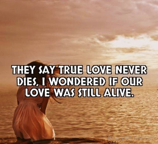 They Say True Love Never Dies-gns3218