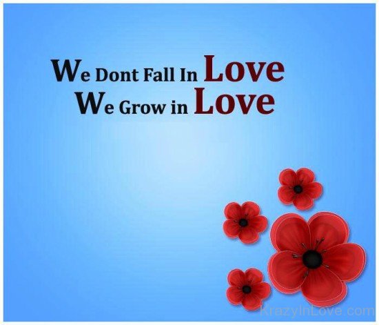 We Don't Fall In Love-yhr8169