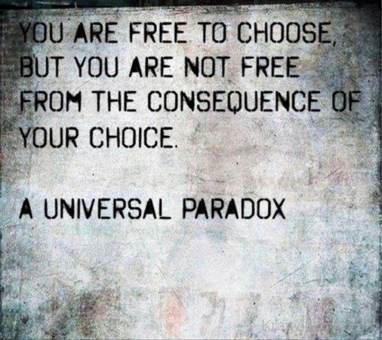 You Are Free To Choose-PPY8186
