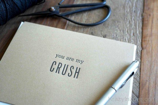 You Are My Crush-wwe733