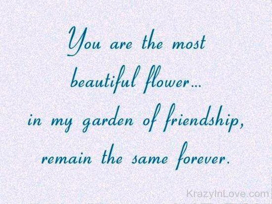 You Are The Most Beautiful Flower-vff7877