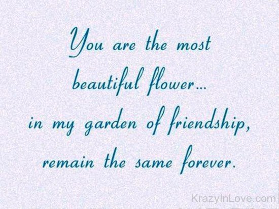 You Are The Most Beautiful Flower-vff7877
