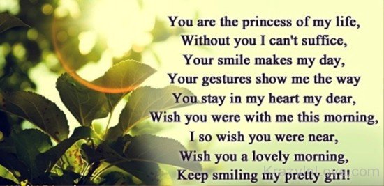 You Are The Princess Of My Life-yhf4760